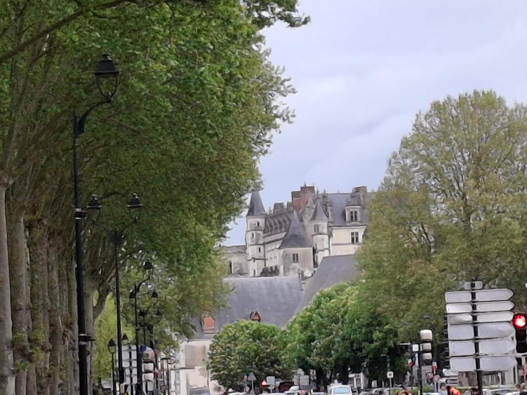 Escale Au Pied Du Chateau Amboise Exterior photo