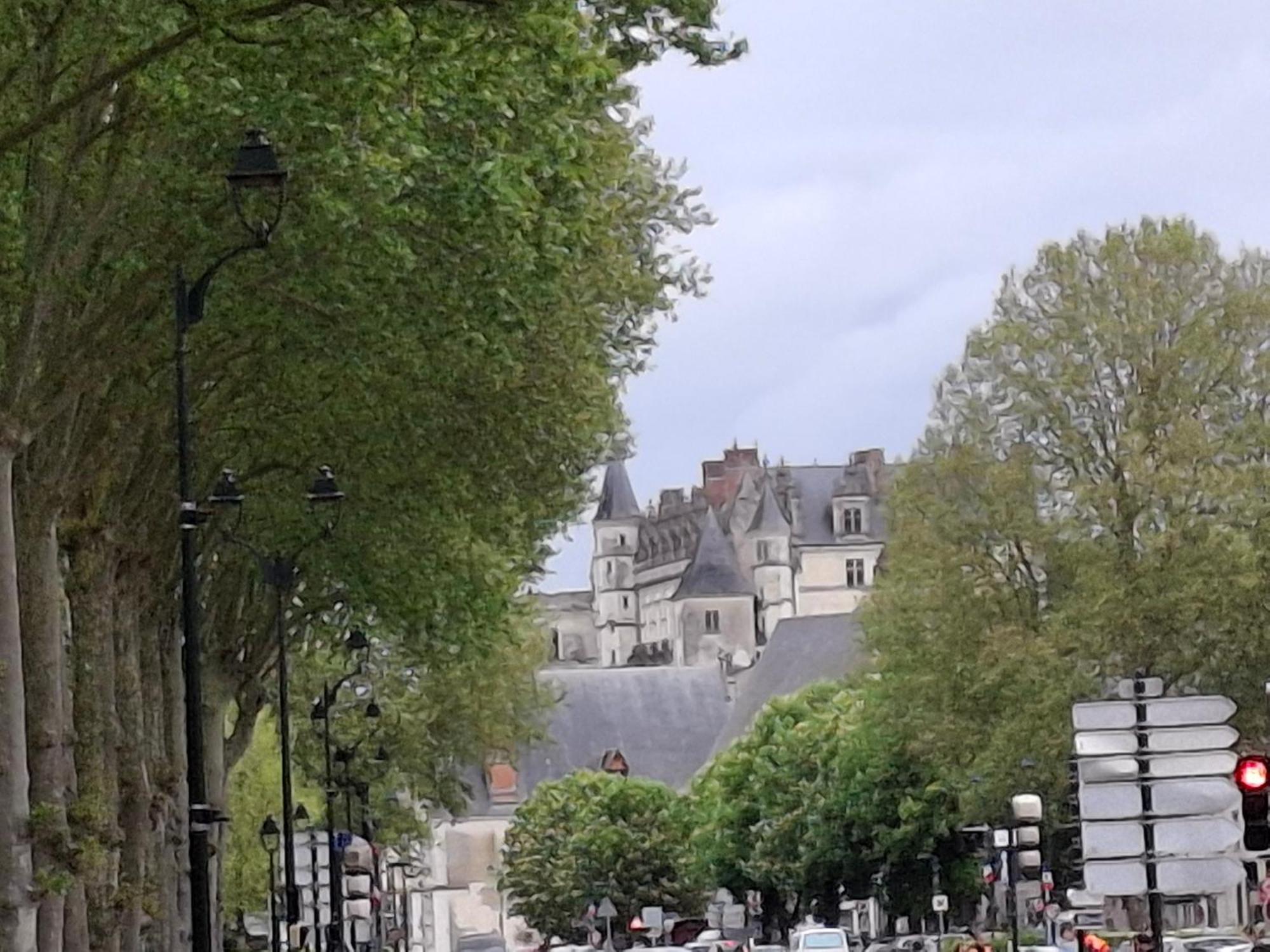 Escale Au Pied Du Chateau Apartment Amboise Exterior photo